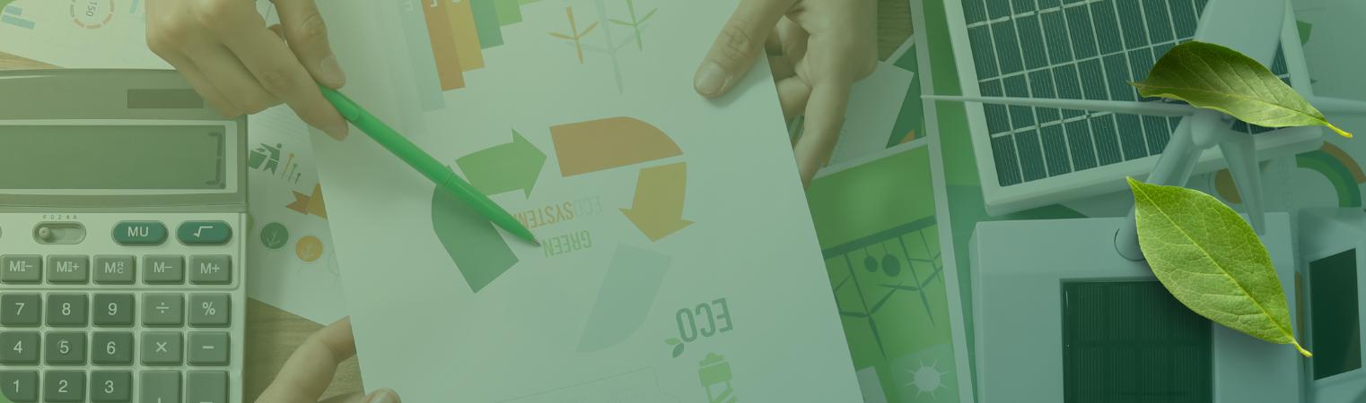 Report di sostenibilità semplificato