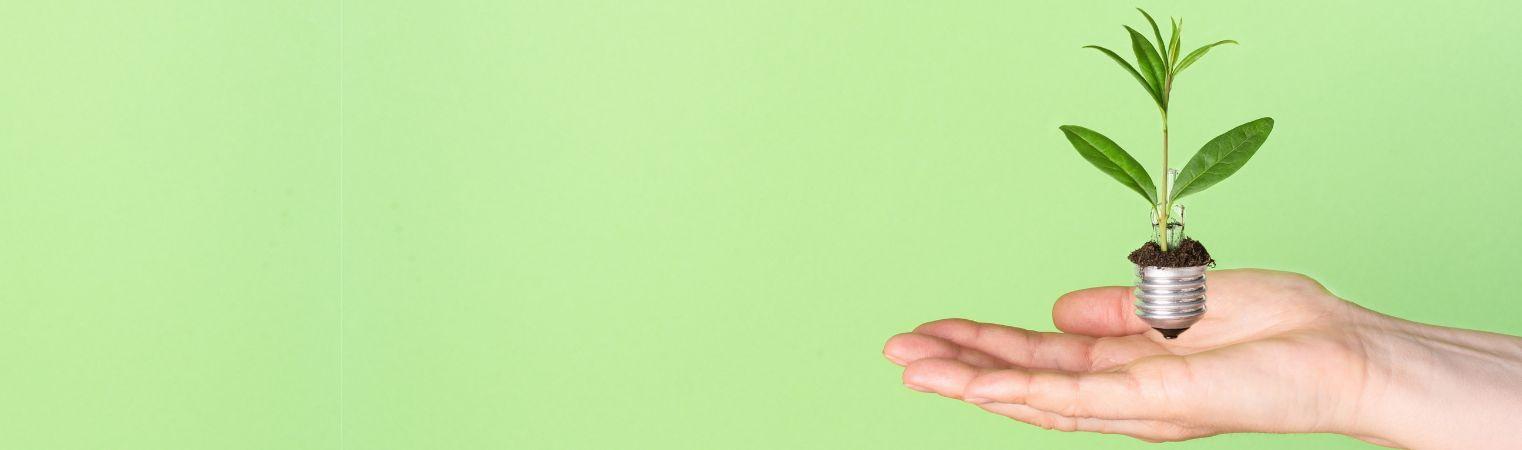 RAEE 2026: guida pratica e novit&agrave; normative per imprese, installatori e distributori